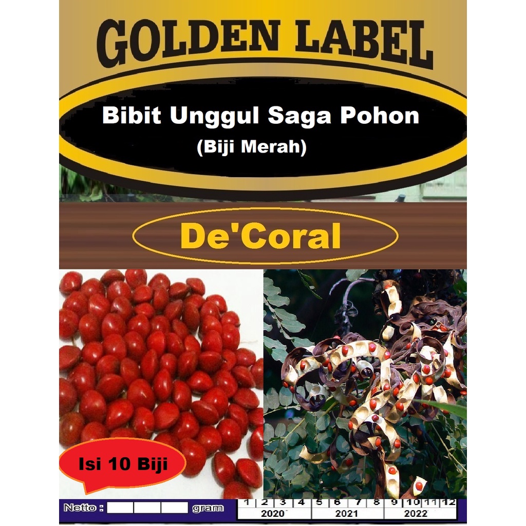 Bibit Saga Pohon Biji Merah Berkualitas | Benih Pohon Saga