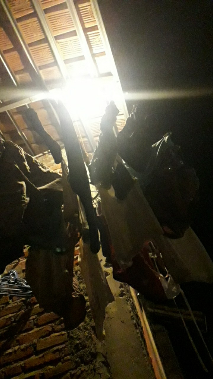 Grendel Stenlis Dolphin 2