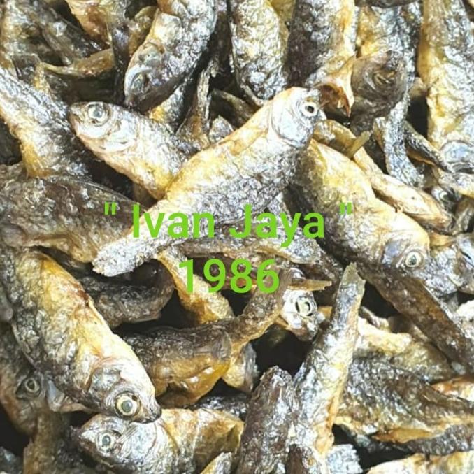 

Ikan Danau Singkarak/Bilih Kecil/Bilis/Tawar Padang 1Kg/1000 Gram