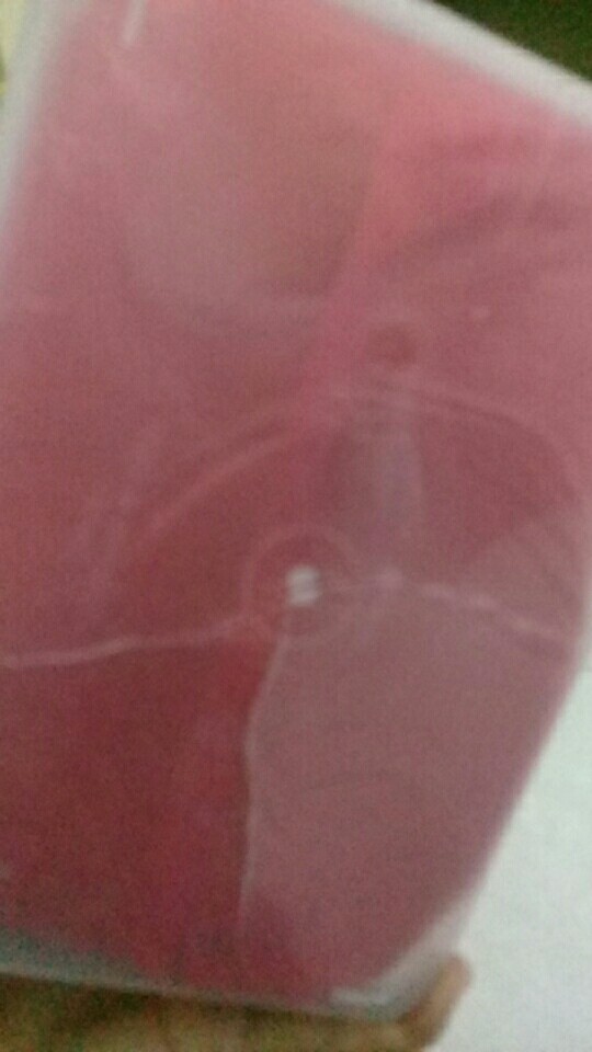 Telur Jangkrik Alam1kg