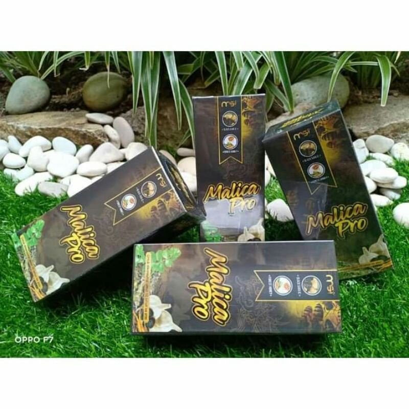 Malica Pro / Malika pro madu pria by MSI 100% original