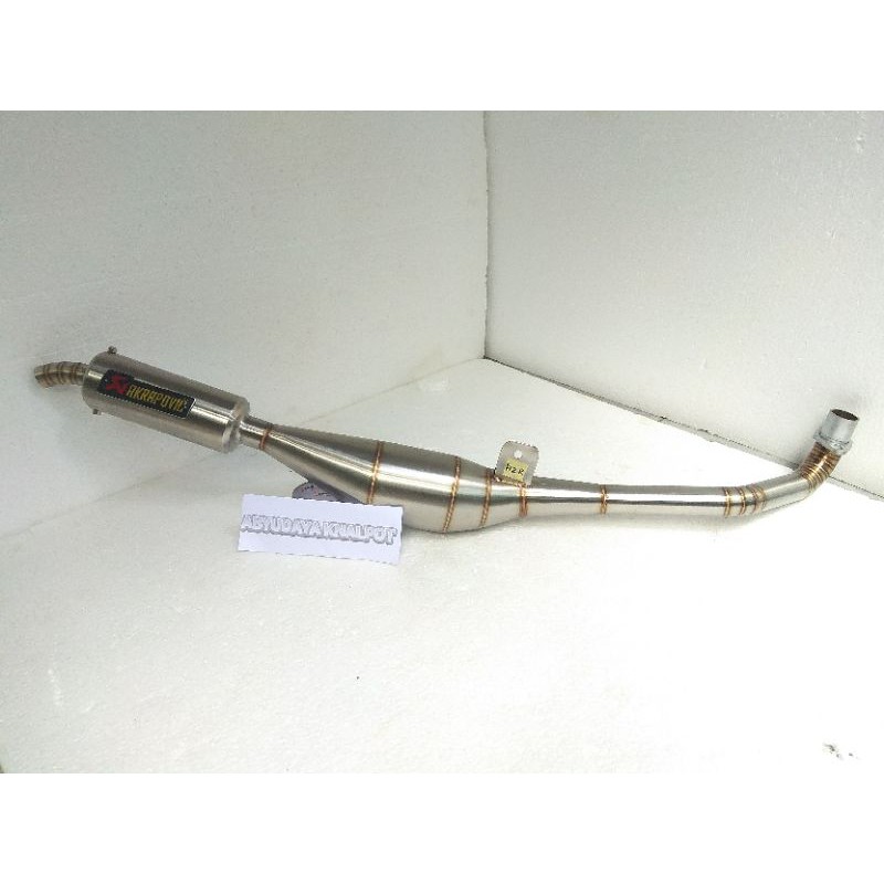 KNALPOT FIZ R KNALPOT F1Z R KNALPOT RACING FIZ R F1Z R FORCE 1 TYPE SAMPING MERK AKRAPOVIC STAINLESS