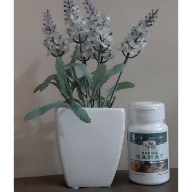 GAMAT EMAS sea cucumber kapsul