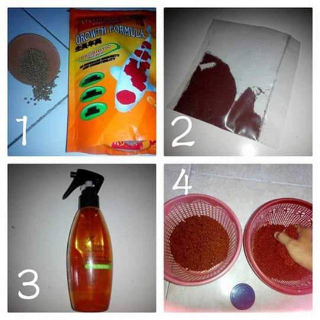 Carophyll red dsm vitamin pencerah warna ikan