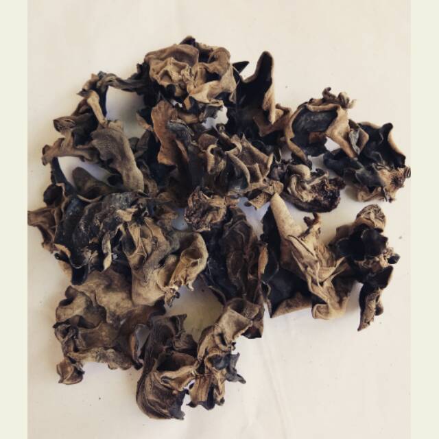 

Jamur kuping / Bokni / Black fungus