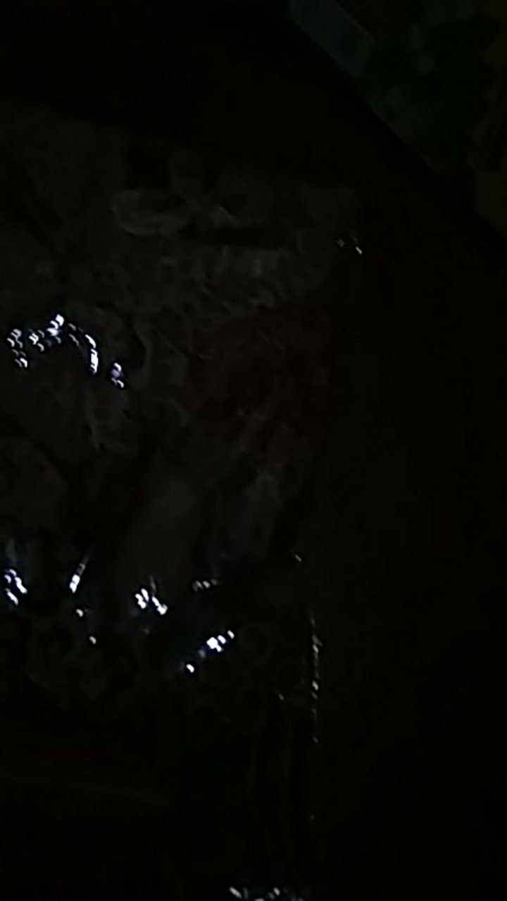 Tey-17 Batik Wanita Asj Sa Hrb026 Kenongo Kemeja Tosca Pendek