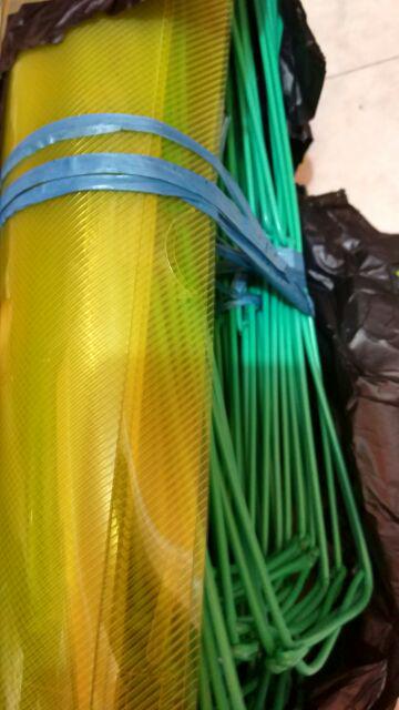 Kotak Sepatu Transparan Z0111a