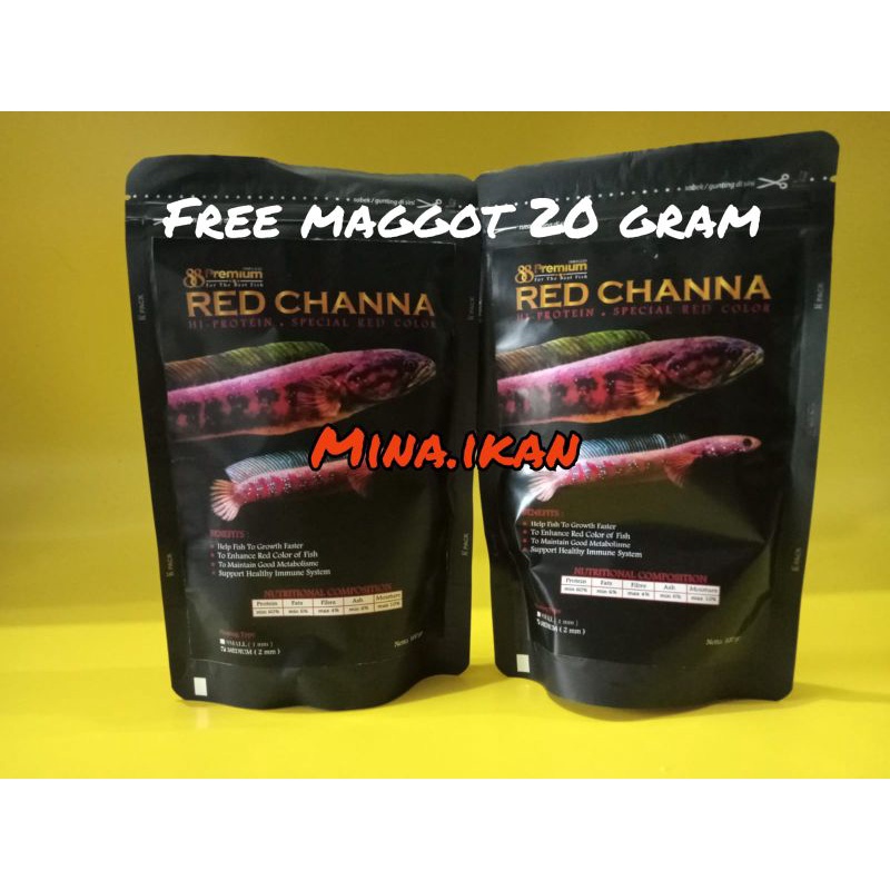 Pelet Pakan Premium Red Channa 100g Ikan Chana Cana Merah Sampit Barito Pulchra Asiatica RS RSWS Min