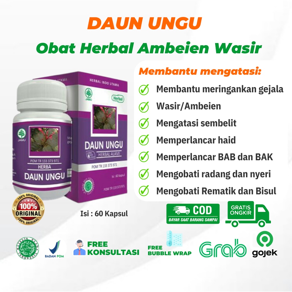 

HIU DAUN UNGU isi 60 kapsul Daun Ungu Obat Wasir Ambeien Sembelit Rematik Bisul Radang Nyeri Pelancar Haid BAB BAK kapsulherbal HERBAL INDO UTAMA