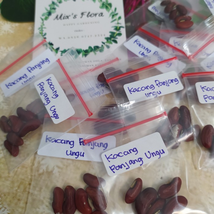 Bibit Kacang Panjang Ungu Benih