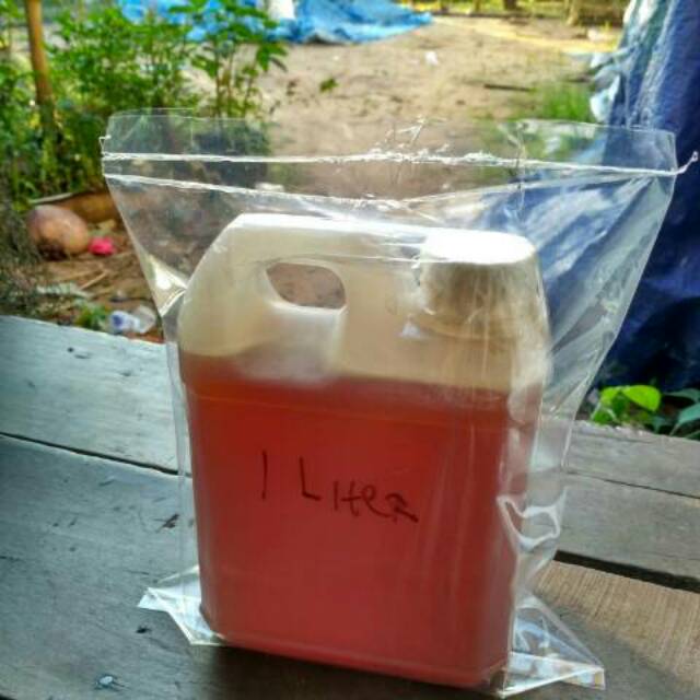 Madu Kelulut Klanceng Itama Murni 1 Liter Shopee Indonesia
