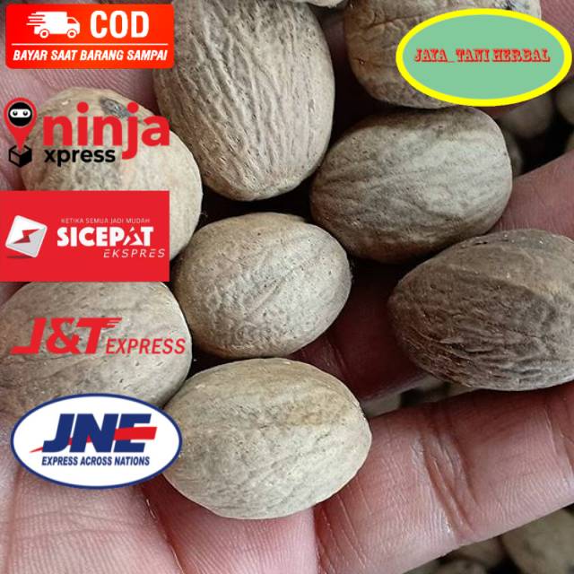 Grosir Biji pala kupas 1kg bulat kualitas super
