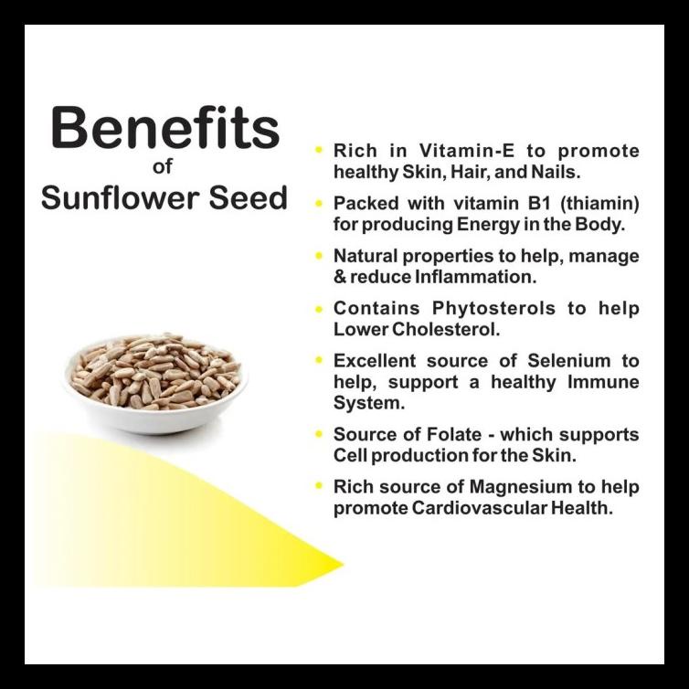 

SUNFLOWER SEED 250GR KUACI 250GRAM BERKUALITAS