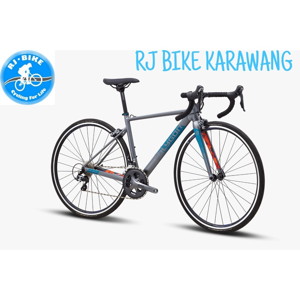 ROADBIKE POLYGON STRATOS S4