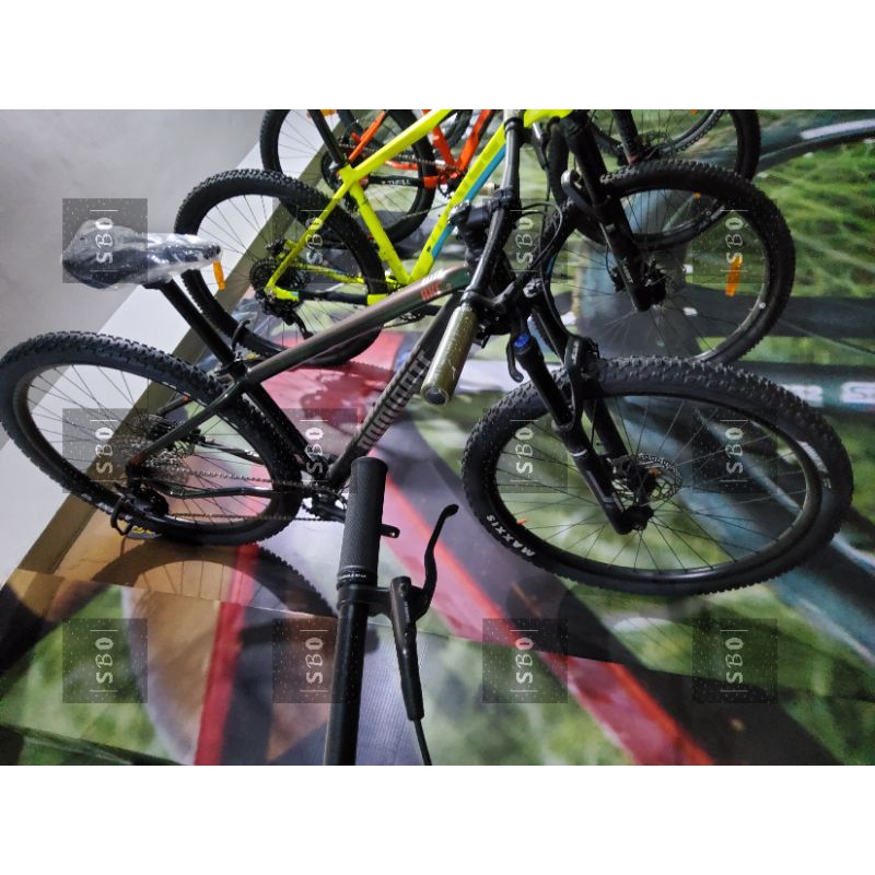 Dominate AXC 2 Elite