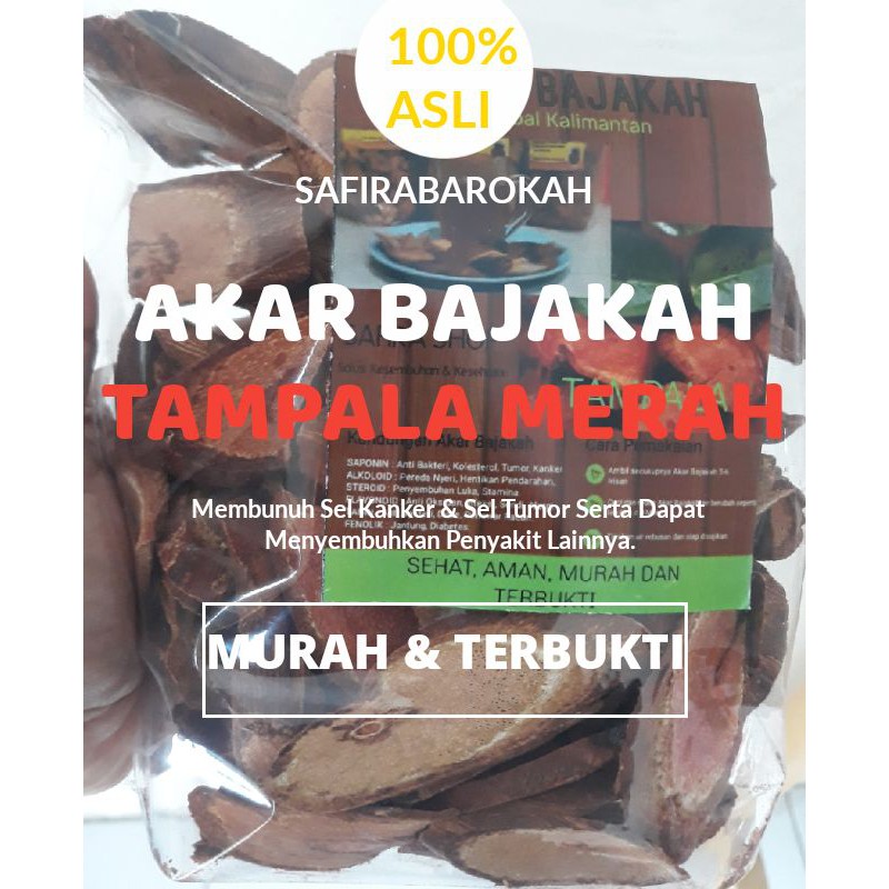 

PALING MURAH !! TAMPALA MERAH & KALALAWIT MERAH