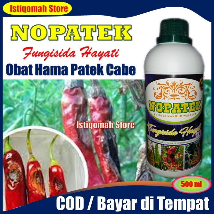 NOPATEK Fungisida Hayati Mengatasi Hama Penyakit Patek pada Cabe / Cabai - Obat Hama Patek Cabe