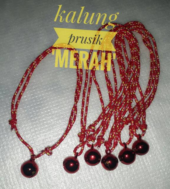 Kalung kucing murah Prusik