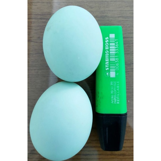 

Telur Asin Masir Jumbo