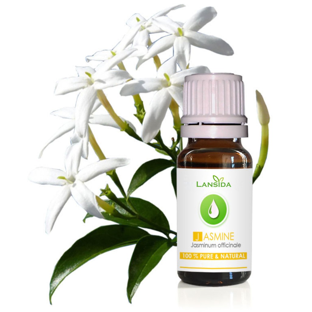 Jasmine Essential Oil Minyak Atsiri Melati Non Absolut