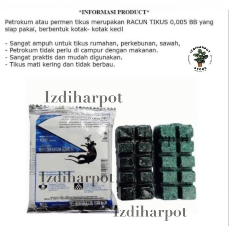 1 BOX Racun tikus PETROKUM - tikus mati kering dan tidak bau - 10 PCS