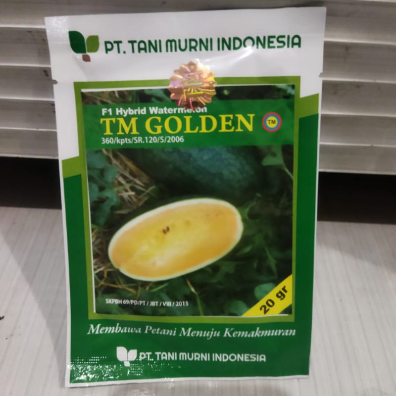 Benih Bibit Semangka F1 Hybrid Watermelon Tm Golden 20 gram , bobot perbuah 3 - 4 kg . - MADRID - FI