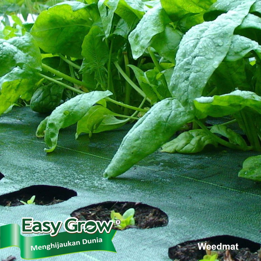 WEEDMAT CONTROL lebar 4 meter merk EASY GROW - terpal pengendali rumput - terpal greenhouse