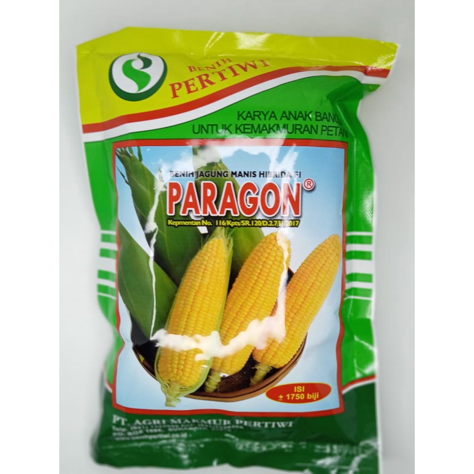 Paragon 250g -+1750/Benih jagung manis unggul/bibit jagung manis super/bibit jagung manis/bibit jagu