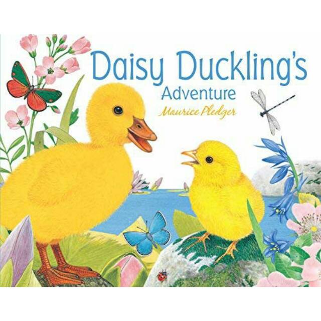 Daisy duckling's