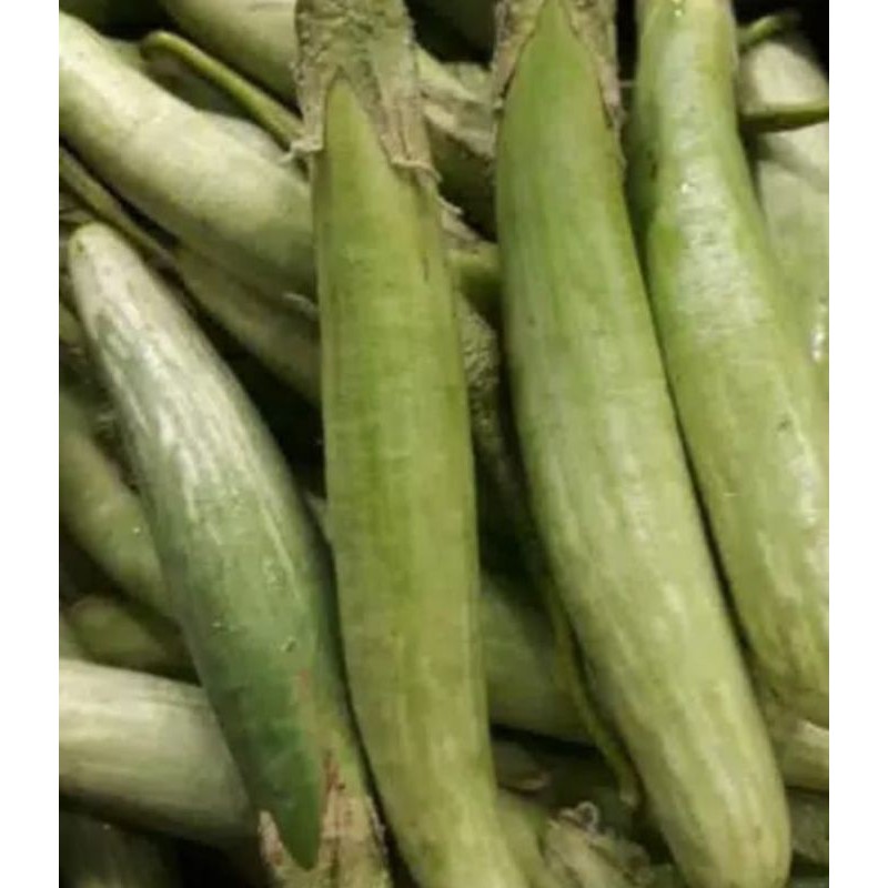 

Terong Medan/ Telanjuk 250 gram