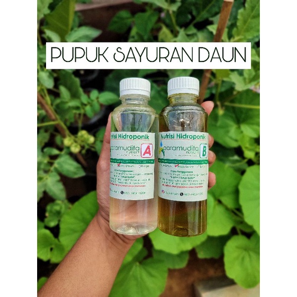 Pupuk AB Mix Sayur Daun