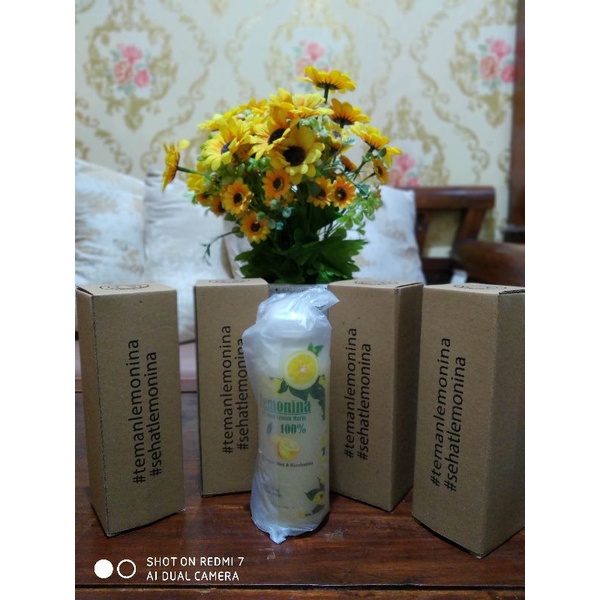 

LEMONINA 500ml