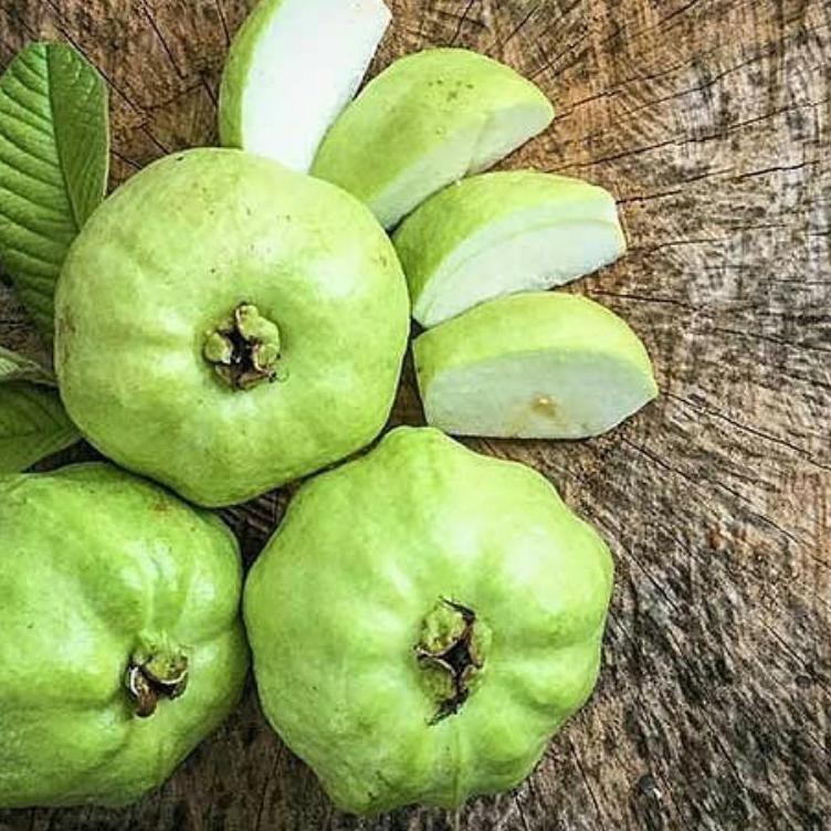 

BantingHarga Jambu Kristal Cristal Tanpa Biji plus bumbu tabur