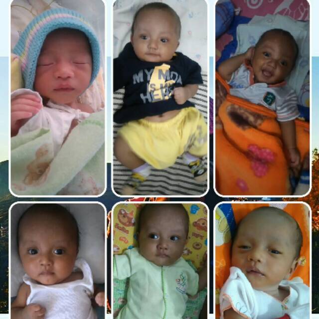 kamujelek11