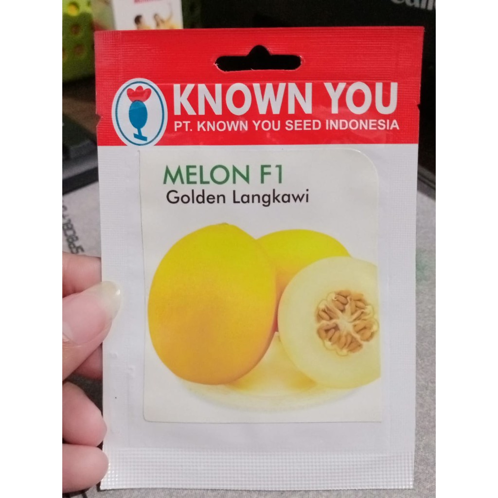 KYS - benih MELON GOLDEN LANGKAWI isi 5 biji - benih melon kuning - benih melon langkawi - known you seed