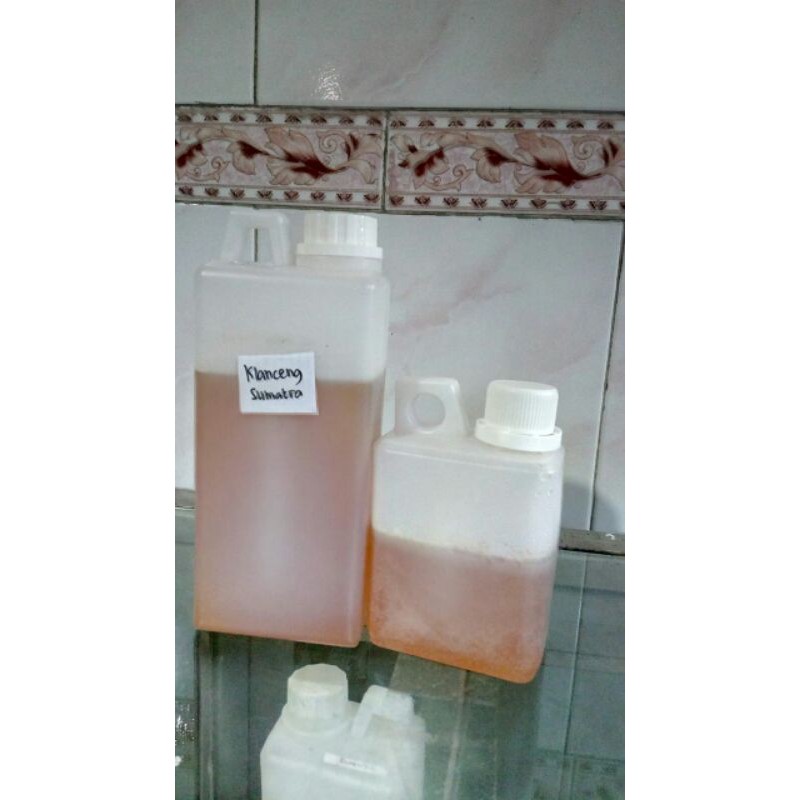 madu kelanceng trigona 500 gram/klanceng hutan jerigen setengah kilo