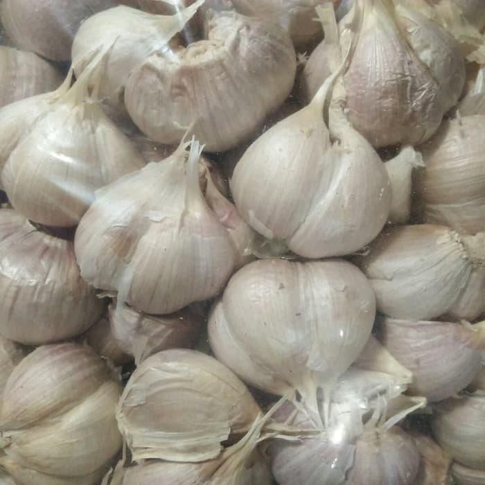 

bawang putih kating BERKUALITAS