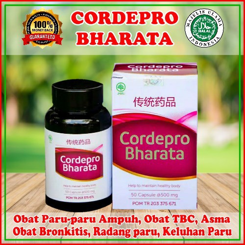 CORDEPRO BHARATA HERBAL ORIGINAL - OBAT UNTUK PARU-PARU - CORDEPRO BHARATA 100% ORIGINAL ASLI