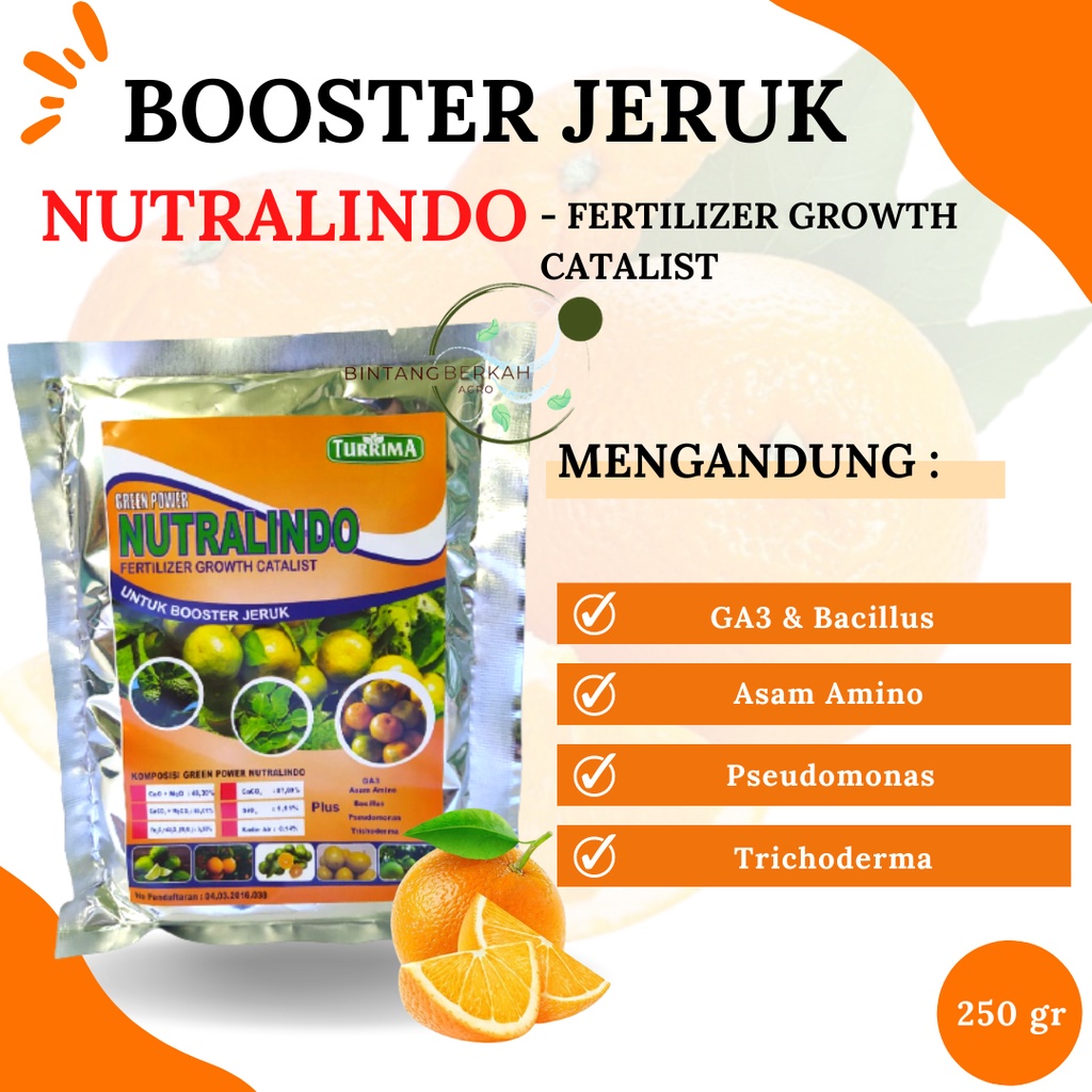 Pupuk Perangsang Buah Jeruk, Booster Jeruk Cepat Berbuah, Pupuk Jeruk Nagami, Pupuk Booster Jeruk An