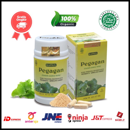 Jual Kapsul Pegagan Tazakka Kapsul Daun Pegagan Herbal Original Isi 60