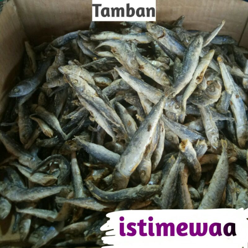 

Ikan Tamban Istimewaa