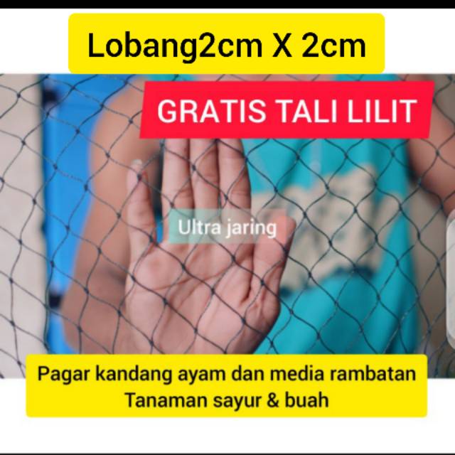 JARING AYAM LUBANG KECIL (BONUS TALI) JARING PAGAR AYAM / JARING KANDANG AYAM / JARING PENUTUP KOLAM / JARING TERNAK AYAM / JARING TUTUP KOLAM / JARING KILOAN / JARING PELINDUNG TANAMAN / JARING TERNAK AYAM ATAU BEBEK / JARING PE KILOAN