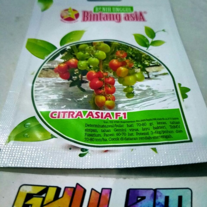 Bintang Asia Benih Tomat CITRA ASIA F1 50 Butir