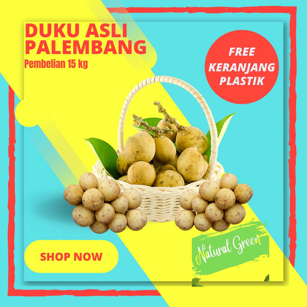 

DUKU PALEMBANG DUKU KOMERING ASLI 100% 15KG