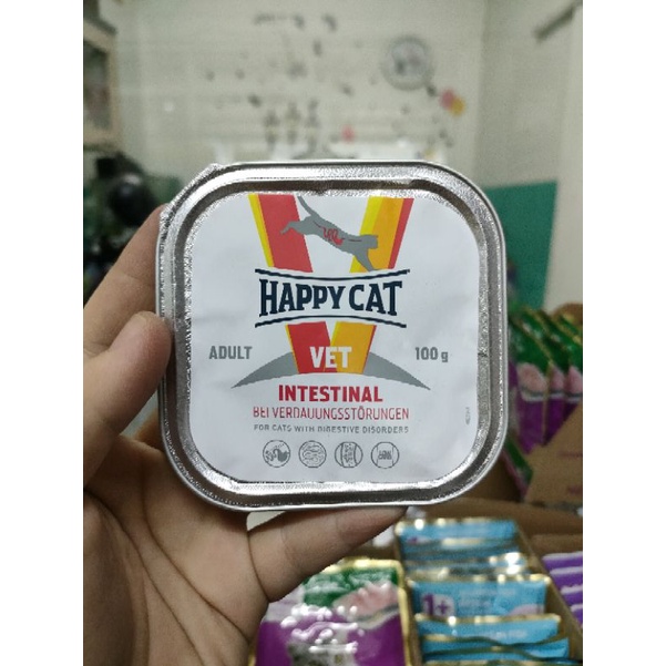 happy cat intestinal basah