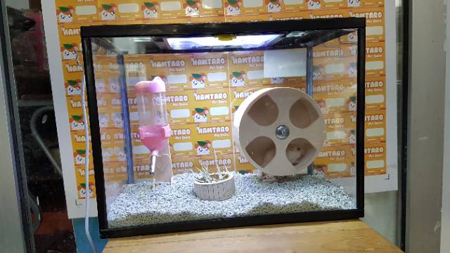 Kandang Hamster Terarium lucu paket kumplit