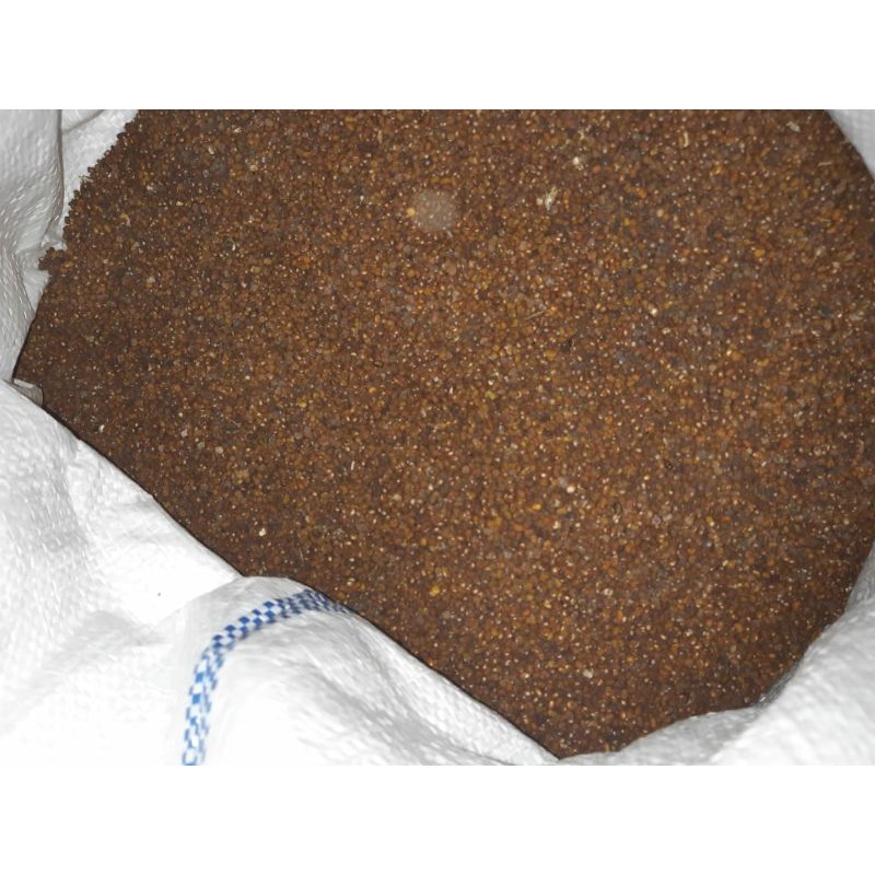 biji kacang pj 10 kg