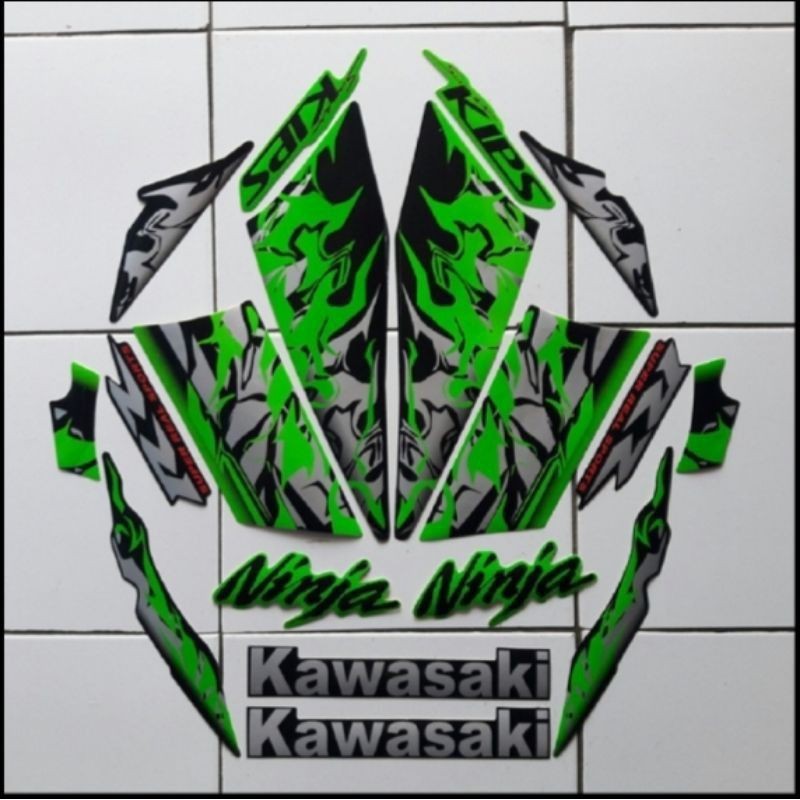 Striping Ninja RR 2013