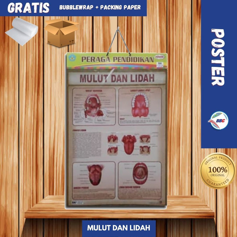 POSTER  EDUKASI MULUT DAN LIDAH