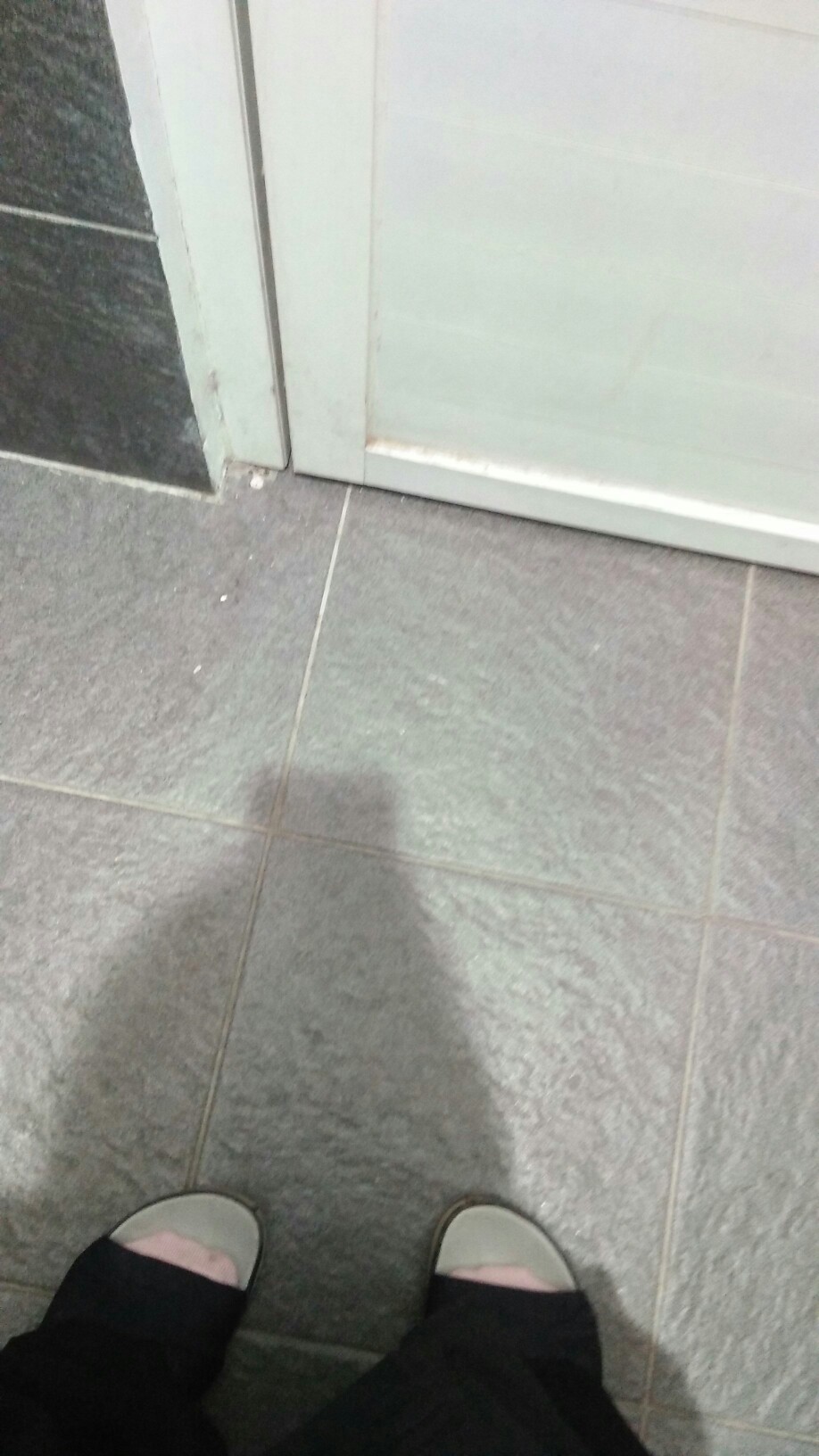 Yam Lamp Holder Lampu Foto Single Socket E27 Dudukan Payung - Hq-dz001